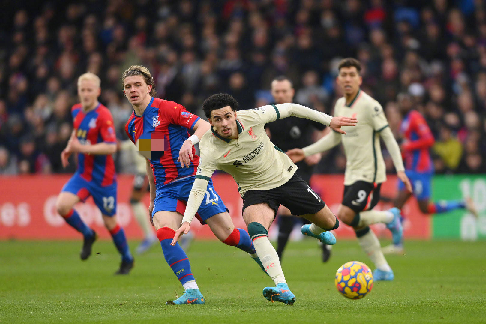 四强之间仅 四强之间仅