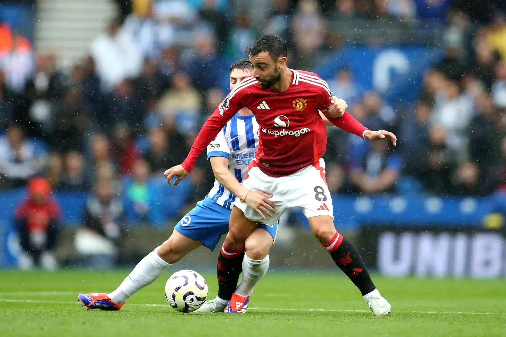 不仅能促进 不仅能促进